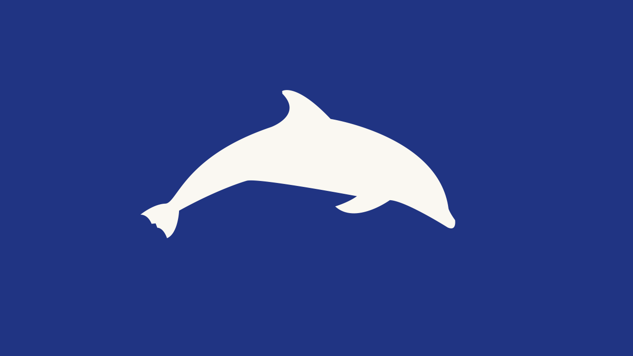 Blue Dolphin Energy Company
