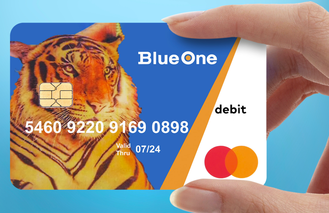BlueOne Card, Inc.